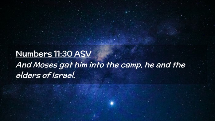 Picture 02 - Numbers 11:30 ASV Desktop Wallpaper - And Moses gat him into the camp, he and the - Desktop Bible Verse Wallpaper