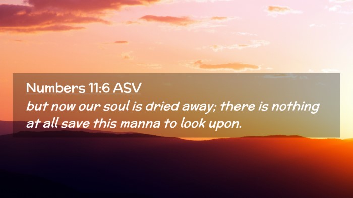Picture 02 - Numbers 11:6 ASV Desktop Wallpaper - but now our soul is dried away; there is nothing - Desktop Bible Verse Wallpaper