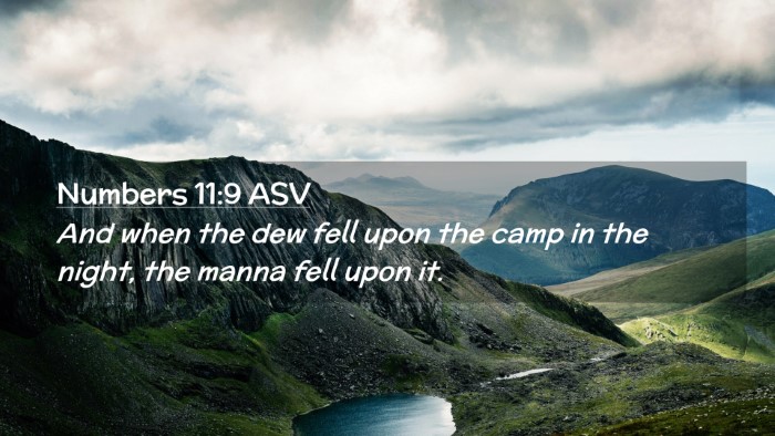 Picture 02 - Numbers 11:9 ASV Desktop Wallpaper - And when the dew fell upon the camp in the night, - Desktop Bible Verse Wallpaper