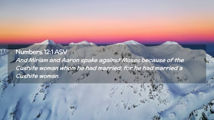 Picture 02 - Numbers 12:1 ASV Desktop Wallpaper - And Miriam and Aaron spake against Moses because - Desktop Bible Verse Wallpaper