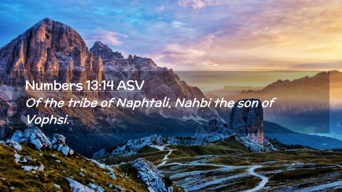 Picture 02 - Numbers 13:14 ASV Desktop Wallpaper - Of the tribe of Naphtali, Nahbi the son of - Desktop Bible Verse Wallpaper