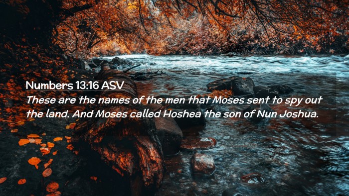 Picture 02 - Numbers 13:16 ASV Desktop Wallpaper - These are the names of the men that Moses sent to - Desktop Bible Verse Wallpaper