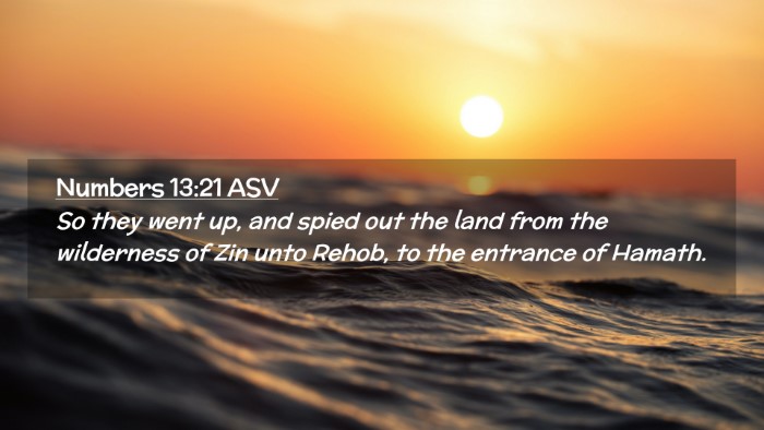 Picture 02 - Numbers 13:21 ASV Desktop Wallpaper - So they went up, and spied out the land from the - Desktop Bible Verse Wallpaper