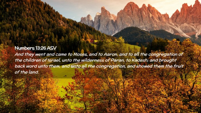 Picture 02 - Numbers 13:26 ASV Desktop Wallpaper - And they went and came to Moses, and to Aaron, - Desktop Bible Verse Wallpaper