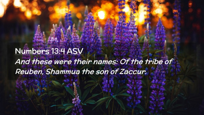 Picture 02 - Numbers 13:4 ASV Desktop Wallpaper - And these were their names: Of the tribe of - Desktop Bible Verse Wallpaper