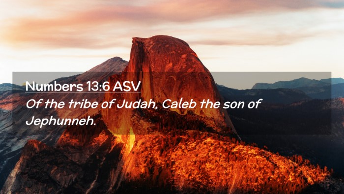 Picture 02 - Numbers 13:6 ASV Desktop Wallpaper - Of the tribe of Judah, Caleb the son of - Desktop Bible Verse Wallpaper