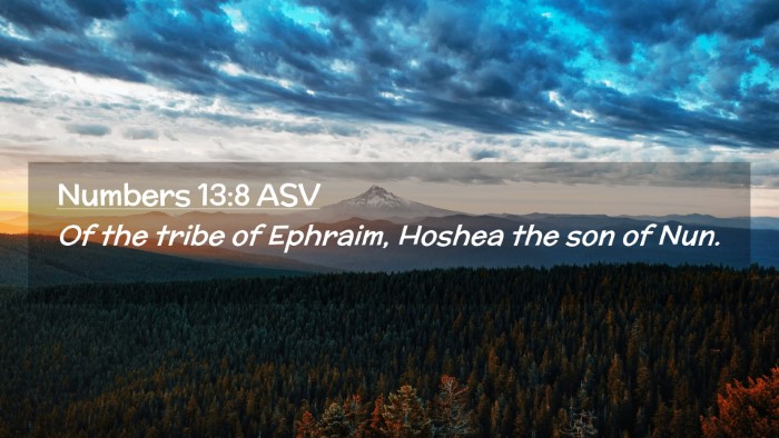 Picture 02 - Numbers 13:8 ASV Desktop Wallpaper - Of the tribe of Ephraim, Hoshea the son of - Desktop Bible Verse Wallpaper