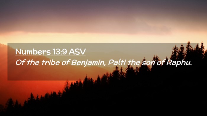 Picture 02 - Numbers 13:9 ASV Desktop Wallpaper - Of the tribe of Benjamin, Palti the son of - Desktop Bible Verse Wallpaper