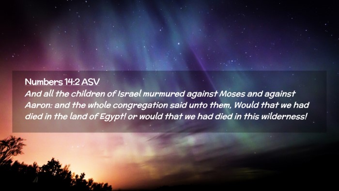 Picture 02 - Numbers 14:2 ASV Desktop Wallpaper - And all the children of Israel murmured against - Desktop Bible Verse Wallpaper