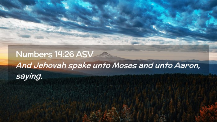 Picture 02 - Numbers 14:26 ASV Desktop Wallpaper - And Jehovah spake unto Moses and unto Aaron, - Desktop Bible Verse Wallpaper