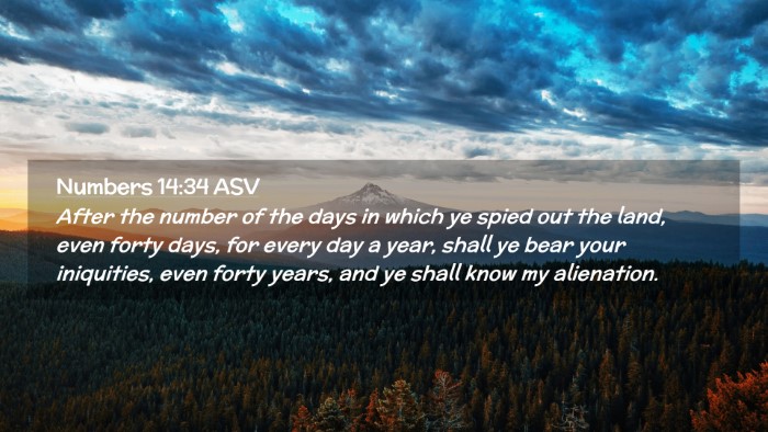 Picture 02 - Numbers 14:34 ASV Desktop Wallpaper - After the number of the days in which ye spied - Desktop Bible Verse Wallpaper
