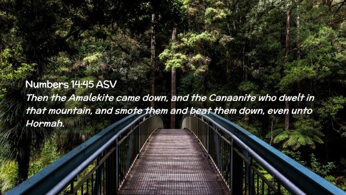 Picture 02 - Numbers 14:45 ASV Desktop Wallpaper - Then the Amalekite came down, and the Canaanite - Desktop Bible Verse Wallpaper