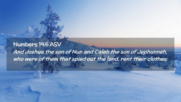 Picture 02 - Numbers 14:6 ASV Desktop Wallpaper - And Joshua the son of Nun and Caleb the son of - Desktop Bible Verse Wallpaper