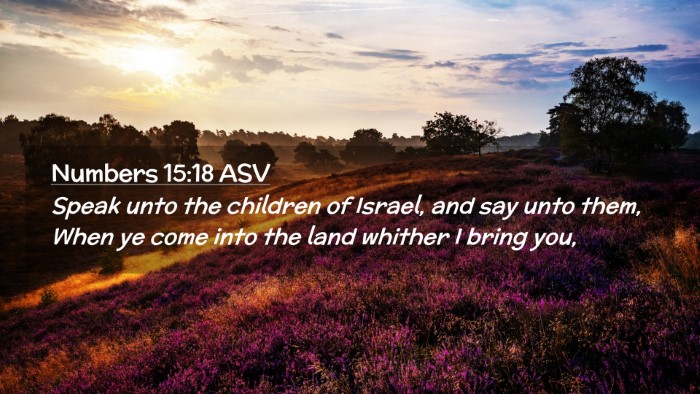 Picture 02 - Numbers 15:18 ASV Desktop Wallpaper - Speak unto the children of Israel, and say unto - Desktop Bible Verse Wallpaper