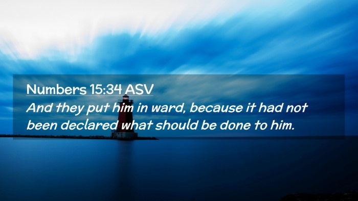 Picture 02 - Numbers 15:34 ASV Desktop Wallpaper - And they put him in ward, because it had not been - Desktop Bible Verse Wallpaper