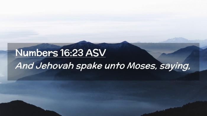 Picture 02 - Numbers 16:23 ASV Desktop Wallpaper - And Jehovah spake unto Moses, - Desktop Bible Verse Wallpaper