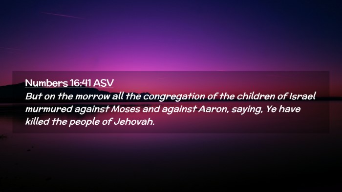 Picture 02 - Numbers 16:41 ASV Desktop Wallpaper - But on the morrow all the congregation of the - Desktop Bible Verse Wallpaper