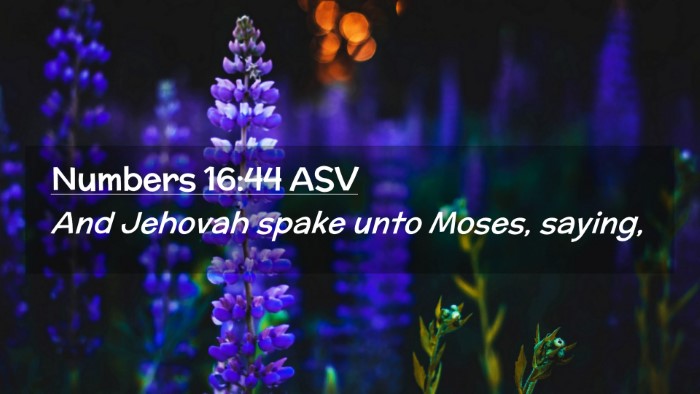 Picture 02 - Numbers 16:44 ASV Desktop Wallpaper - And Jehovah spake unto Moses, - Desktop Bible Verse Wallpaper