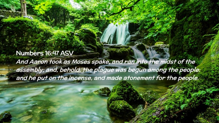 Picture 02 - Numbers 16:47 ASV Desktop Wallpaper - And Aaron took as Moses spake, and ran into the - Desktop Bible Verse Wallpaper