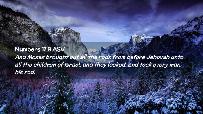 Picture 02 - Numbers 17:9 ASV Desktop Wallpaper - And Moses brought out all the rods from before - Desktop Bible Verse Wallpaper
