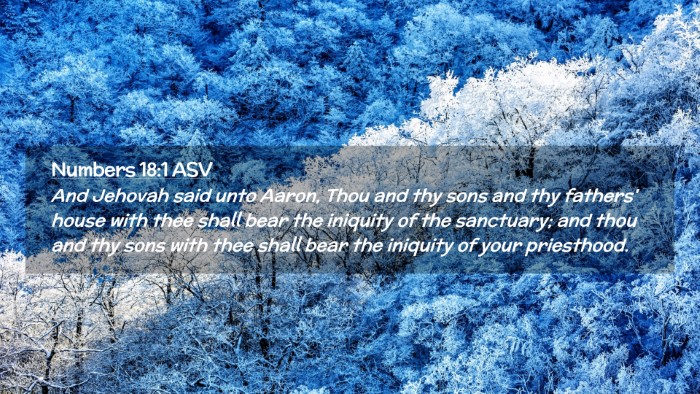 Picture 02 - Numbers 18:1 ASV Desktop Wallpaper - And Jehovah said unto Aaron, Thou and thy sons - Desktop Bible Verse Wallpaper