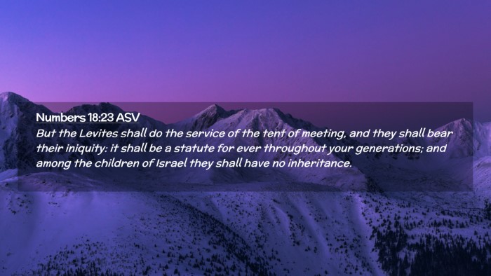 Picture 02 - Numbers 18:23 ASV Desktop Wallpaper - But the Levites shall do the service of the tent - Desktop Bible Verse Wallpaper