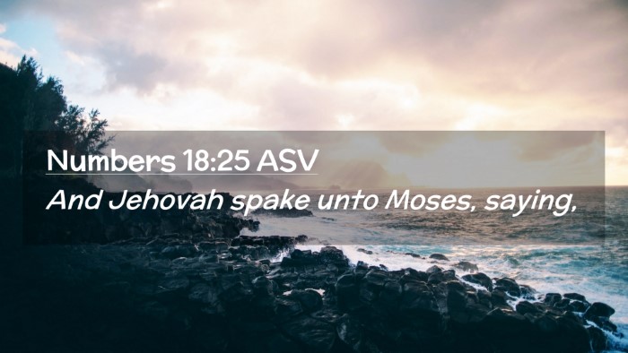Picture 02 - Numbers 18:25 ASV Desktop Wallpaper - And Jehovah spake unto Moses, - Desktop Bible Verse Wallpaper