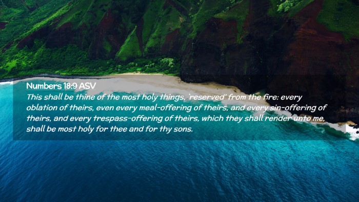 Picture 02 - Numbers 18:9 ASV Desktop Wallpaper - This shall be thine of the most holy things, - Desktop Bible Verse Wallpaper