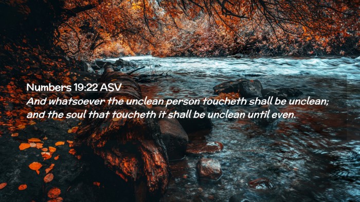 Picture 02 - Numbers 19:22 ASV Desktop Wallpaper - And whatsoever the unclean person toucheth shall - Desktop Bible Verse Wallpaper