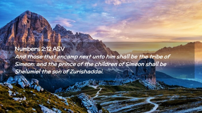 Picture 02 - Numbers 2:12 ASV Desktop Wallpaper - And those that encamp next unto him shall be the - Desktop Bible Verse Wallpaper