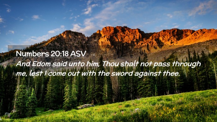 Picture 02 - Numbers 20:18 ASV Desktop Wallpaper - And Edom said unto him, Thou shalt not pass - Desktop Bible Verse Wallpaper
