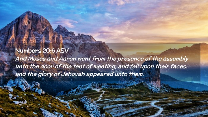 Picture 02 - Numbers 20:6 ASV Desktop Wallpaper - And Moses and Aaron went from the presence of the - Desktop Bible Verse Wallpaper