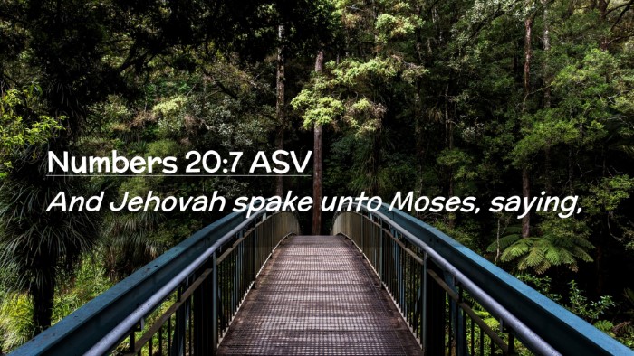 Picture 02 - Numbers 20:7 ASV Desktop Wallpaper - And Jehovah spake unto Moses, - Desktop Bible Verse Wallpaper