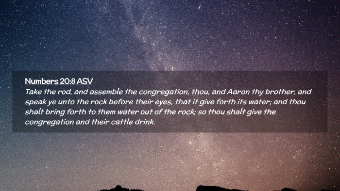 Picture 02 - Numbers 20:8 ASV Desktop Wallpaper - Take the rod, and assemble the congregation, - Desktop Bible Verse Wallpaper