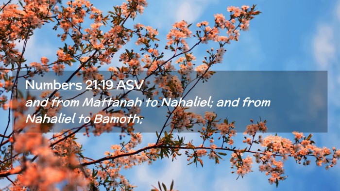 Picture 02 - Numbers 21:19 ASV Desktop Wallpaper - and from Mattanah to Nahaliel; and from Nahaliel - Desktop Bible Verse Wallpaper