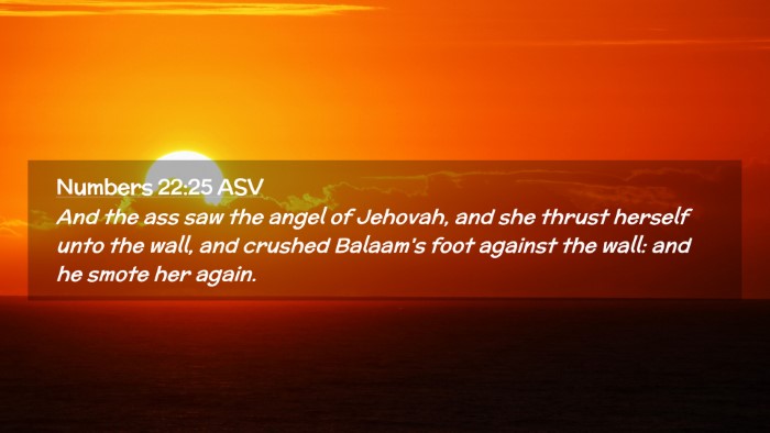 Picture 02 - Numbers 22:25 ASV Desktop Wallpaper - And the ass saw the angel of Jehovah, and she - Desktop Bible Verse Wallpaper