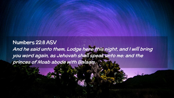 Picture 02 - Numbers 22:8 ASV Desktop Wallpaper - And he said unto them, Lodge here this night, and - Desktop Bible Verse Wallpaper