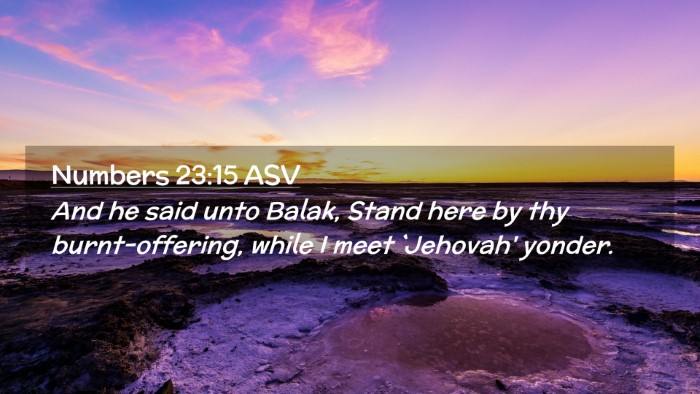 Picture 02 - Numbers 23:15 ASV Desktop Wallpaper - And he said unto Balak, Stand here by thy - Desktop Bible Verse Wallpaper