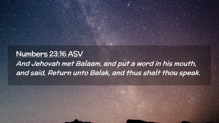 Picture 02 - Numbers 23:16 ASV Desktop Wallpaper - And Jehovah met Balaam, and put a word in his - Desktop Bible Verse Wallpaper