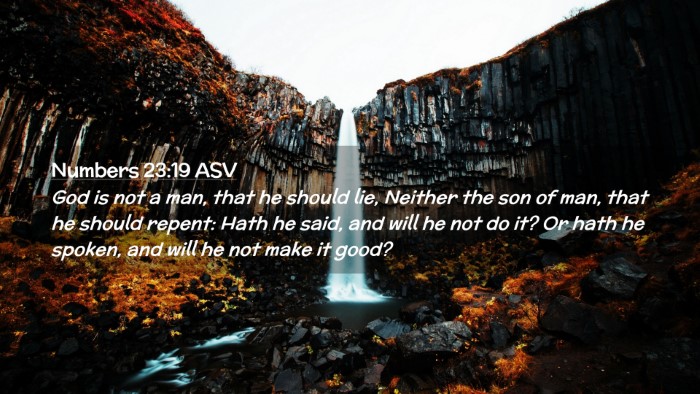 Picture 02 - Numbers 23:19 ASV Desktop Wallpaper - God is not a man, that he should lie, Neither the - Desktop Bible Verse Wallpaper