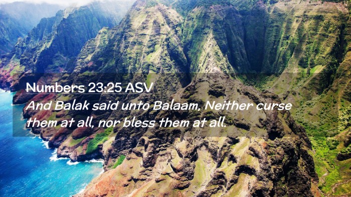 Picture 02 - Numbers 23:25 ASV Desktop Wallpaper - And Balak said unto Balaam, Neither curse them at - Desktop Bible Verse Wallpaper