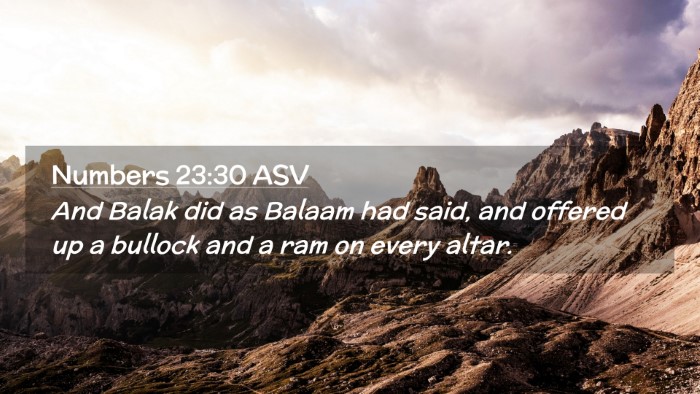 Picture 02 - Numbers 23:30 ASV Desktop Wallpaper - And Balak did as Balaam had said, and offered up - Desktop Bible Verse Wallpaper