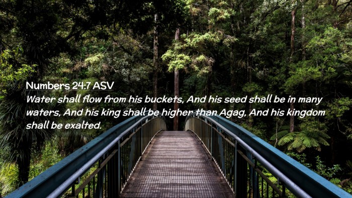 Picture 02 - Numbers 24:7 ASV Desktop Wallpaper - Water shall flow from his buckets, And his seed - Desktop Bible Verse Wallpaper