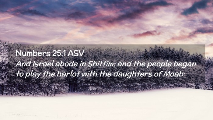 Picture 02 - Numbers 25:1 ASV Desktop Wallpaper - And Israel abode in Shittim; and the people began - Desktop Bible Verse Wallpaper