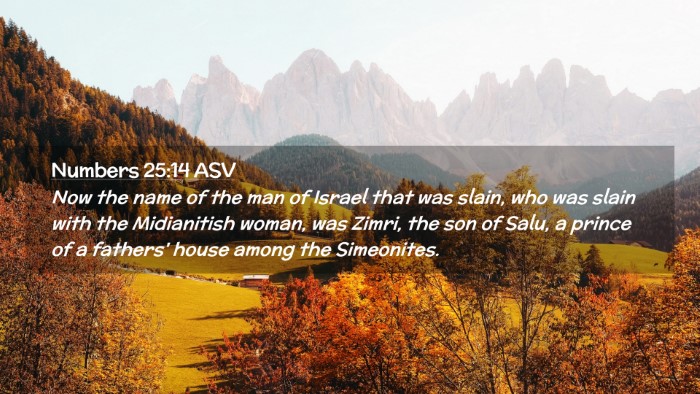 Picture 02 - Numbers 25:14 ASV Desktop Wallpaper - Now the name of the man of Israel that was slain, - Desktop Bible Verse Wallpaper