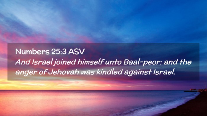 Picture 02 - Numbers 25:3 ASV Desktop Wallpaper - And Israel joined himself unto Baal-peor: and the - Desktop Bible Verse Wallpaper
