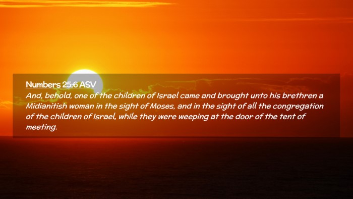 Picture 02 - Numbers 25:6 ASV Desktop Wallpaper - And, behold, one of the children of Israel came - Desktop Bible Verse Wallpaper