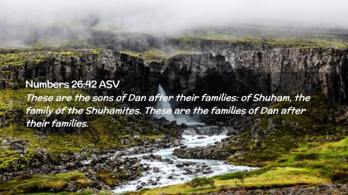 Picture 02 - Numbers 26:42 ASV Desktop Wallpaper - These are the sons of Dan after their families: - Desktop Bible Verse Wallpaper