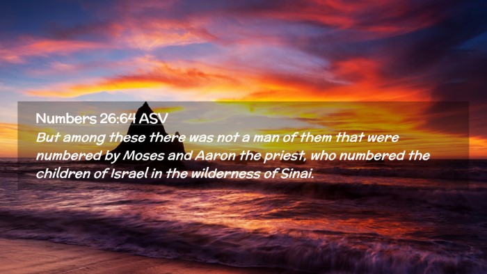 Picture 02 - Numbers 26:64 ASV Desktop Wallpaper - But among these there was not a man of them that - Desktop Bible Verse Wallpaper