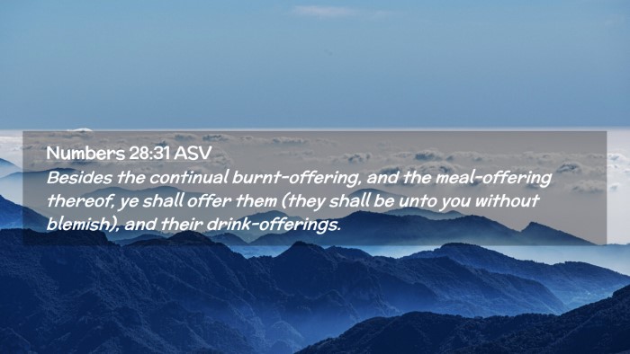 Picture 02 - Numbers 28:31 ASV Desktop Wallpaper - Besides the continual burnt-offering, and the - Desktop Bible Verse Wallpaper